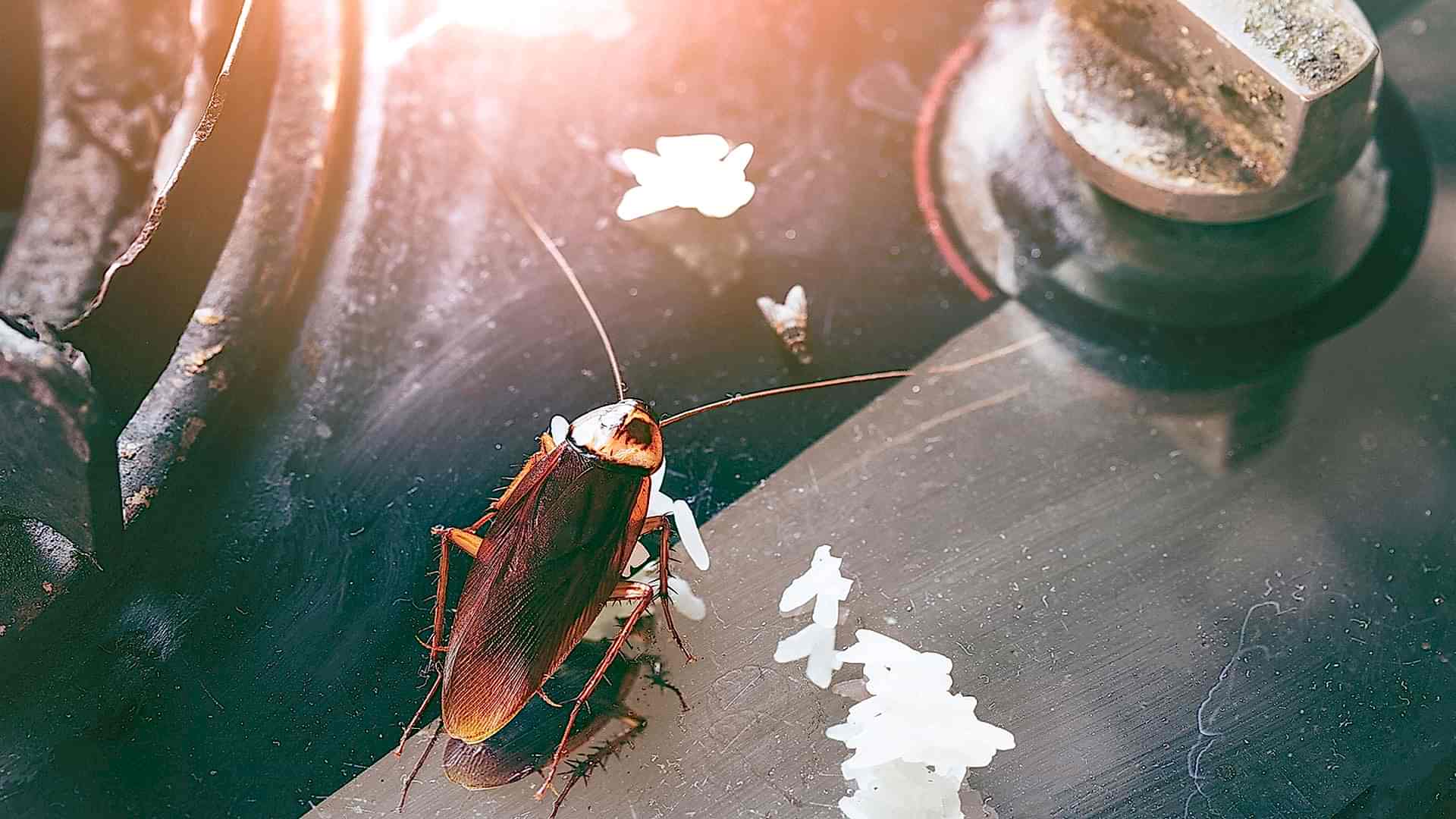 Slide background